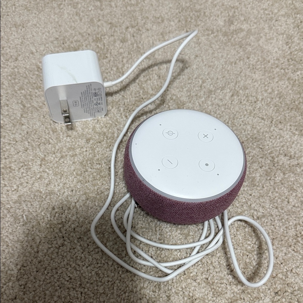 Amazon echo dot Speaker in Plum